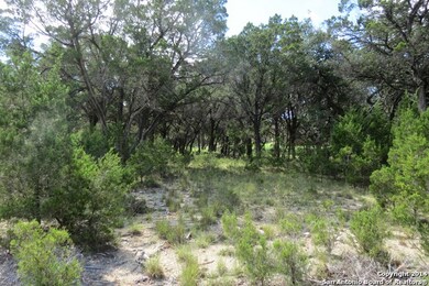 26331 Quail Grove Ln, Fair Oaks, TX 78006 - photo 6