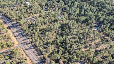 Lot 4 Pine Hollow Trail unit 4, Pine, AZ 85544 - photo 3