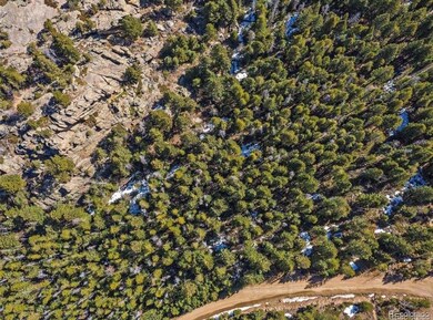 33131 Lynx Ln, Evergreen, CO 80439 - photo 5