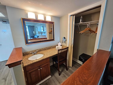 Bathroom featuring a spacious closet, vanity, wood