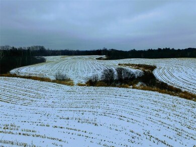 0 Olesiak Rd unit 1570427, Strickland, WI 54895 - photo 3