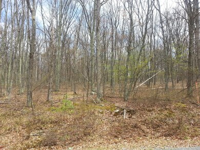 232 Sec 2 Lilypad Ln, Lackawaxen Township, PA 18428 - photo 5