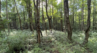 TBD-1 Peter Mabe Rd, Danbury, NC 27016 - photo 4