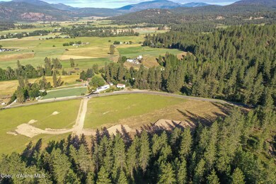 2366 Burnt Valley Rd, Chewelah, WA 99109 - photo 4