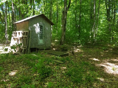 Twin Peaks Shed/Deer Blind