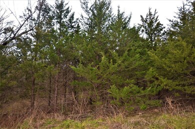 Lot 565 Toy Ln, Pottsboro, TX 75076 - photo 6