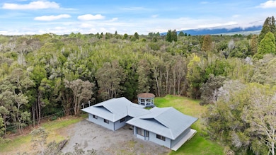 99-1817 Painiu Loop, Volcano, HI 96785 - photo 2