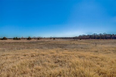 1388 County Road 176, Whitesboro, TX 76273 - photo 7