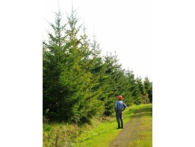 18372 Oregon 22 unit 1, Sheridan, OR 97378 - photo 5