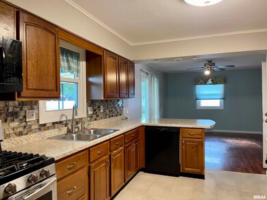 175 Half Moon St, Lincoln, IL 62656 - photo 3