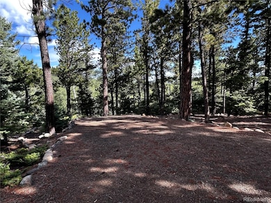 53 Pine Eagle Ct, Westcliffe, CO 81252 - photo 7