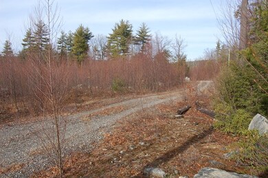 Lot 31 Scripps Ln, Mason, NH 03048 - photo 6