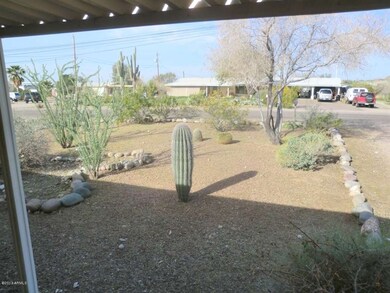 NICE FRONT YARD