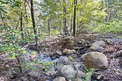 0 Arkansas 155, Dardanelle, AR 72834 - photo 3