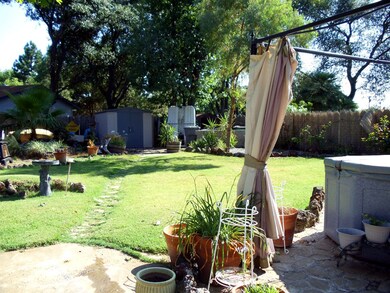 Tranquil Back yard