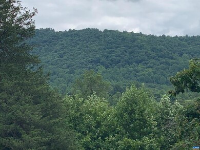 3445 Simmons Gap Rd, Free Union, VA 22940 - photo 3