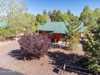 2-web-or-mls-2333SBuffaloLoop-Drone-TMea