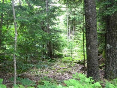 Land/Lot.