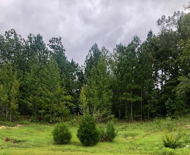 448 Weyanoke Dr, Evans, GA 30809 - photo 3