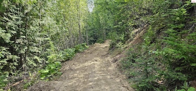 NNA Juniper Lane 20 Acres, Naples, ID 83847 - photo 6