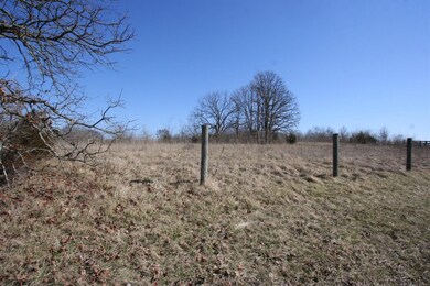 1294 Gastineau Rd, Versailles, KY 40383 - photo 5