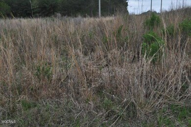 0 Interior Land Bayou La Croix unit 3354385, Bay Saint Louis, MS 39520 - photo 2