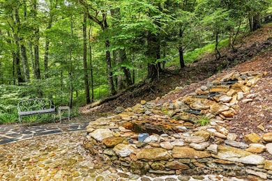 215 Goldenleaf Rd, Mars Hill, NC 28754 - photo 5