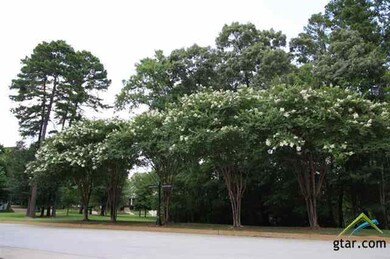 3958 Hanover Place, Tyler, TX 75701 - photo 5