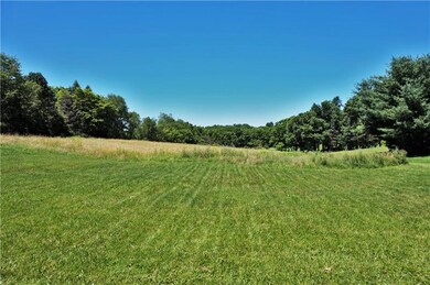 Rear yard goes to the high grass!