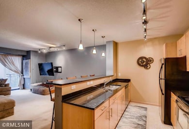 7600 Lyndale Ave S unit 226, Richfield, MN 55423 - photo 3