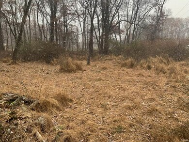 0 W Bangor Rd unit 590636, East Bangor, PA 18013 - photo 4