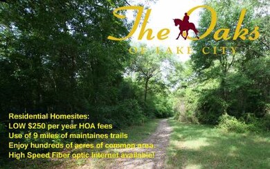 LOT26 Mandiba Dr, Lake City, FL 32024 - photo 3