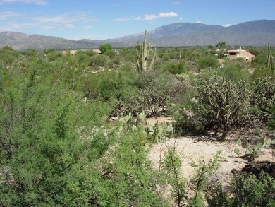 pic 8