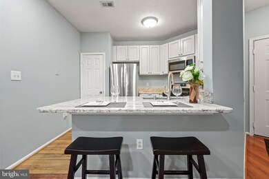 14322 Climbing Rose Way unit 102, Centreville, VA 20121 - photo 2