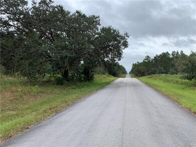 0 SW 209th Ave unit OM609696, Dunnellon, FL 34431 - photo 3