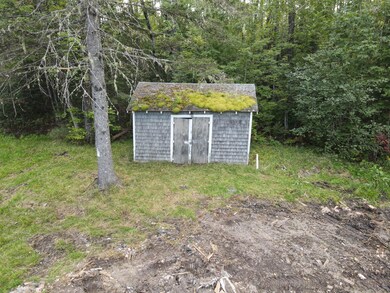 Pic 5