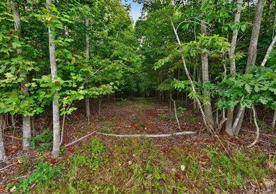 200 Whiskey Way, Jasper, TN 37374 - photo 5