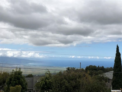 23 Meakoho Place, Kula, HI 96790 - photo 6