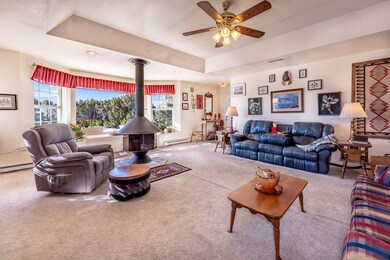 330 Badger Rd, Walsenburg, CO 81089 - photo 6