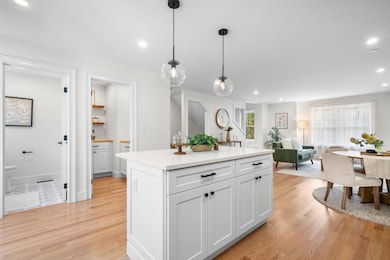 14 Mohawk Dr, Londonderry, NH 03053 - photo 6