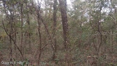 241 Indian Lakes Rd, Florahome, FL 32140 - photo 3