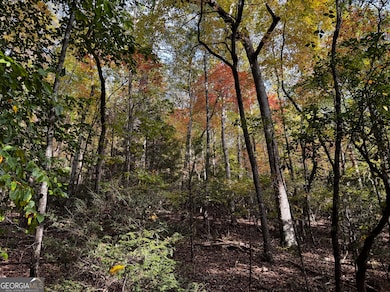 0 Skylake Rd unit 10626637, Sautee Nacoochee, GA 30571 - photo 5