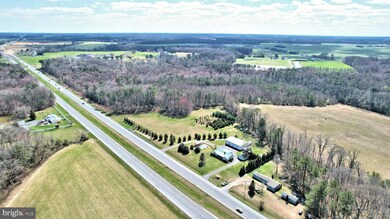 12822 Coastal Hwy, Milton, DE 19968 - photo 6