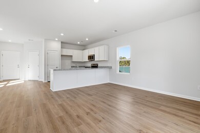 213 Central Creek Dr, Goose Creek, SC 29445 - photo 4