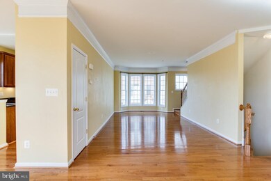 41948 Blue Flag Terrace, Stone Ridge, VA 20105 - photo 5