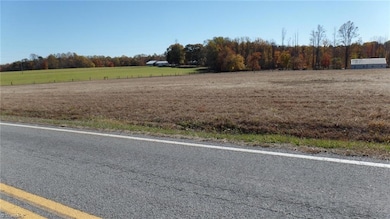 5317 Saint Paul Church Rd, Hamptonville, NC 27020 - photo 4