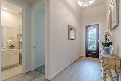 428 Trailing Lantana Ln, San Marcos, TX 78666 - photo 4