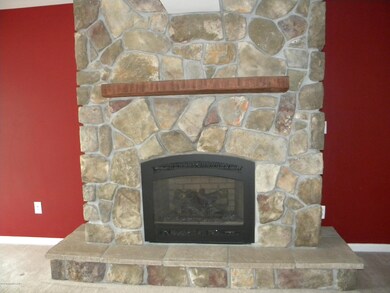 Living room fireplace
