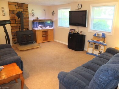Family room in lower level with wood burner.