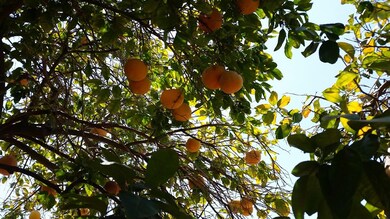 20160701_134236